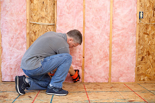 Best Eco-Friendly Insulation in Manson, IA